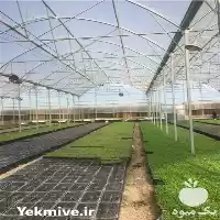 طراحی و اجرای سازه های گلخانه در تهران در گروه سازنده در یکمیوه