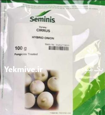 فروش ویژه بذر پیاز سایروس اصل در گروه خرید و فروش بذر پیاز در یکمیوه -عکس1
