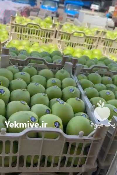 فروش سیب سبز و شکی در مهاباد در گروه خرید و فروش سیب در یکمیوه -عکس1