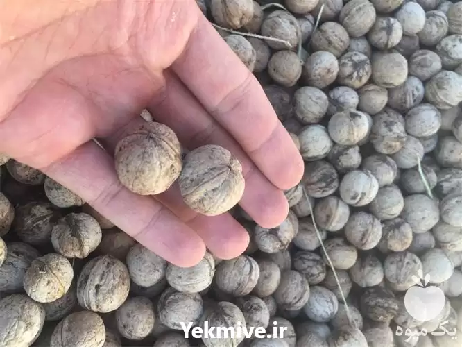 خرید فروش گردو بادام کشک سماق در سنندج در گروه خرید و فروش بادام در یکمیوه -عکس1