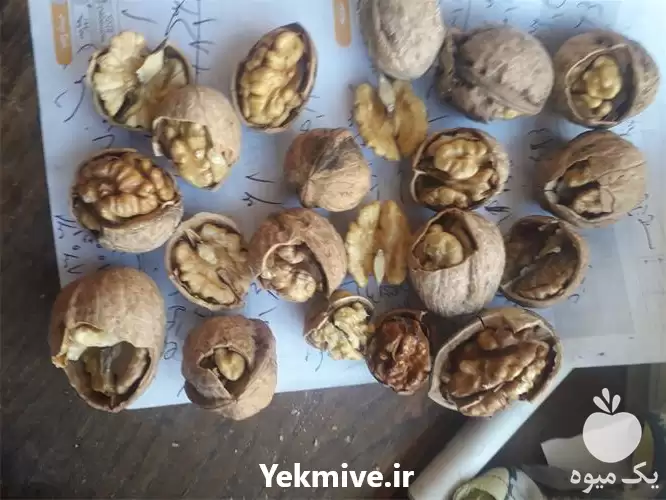 قیمت خرید تناژ گردو سماق کشک در سنندج در گروه خرید و فروش گردو در یکمیوه -عکس1