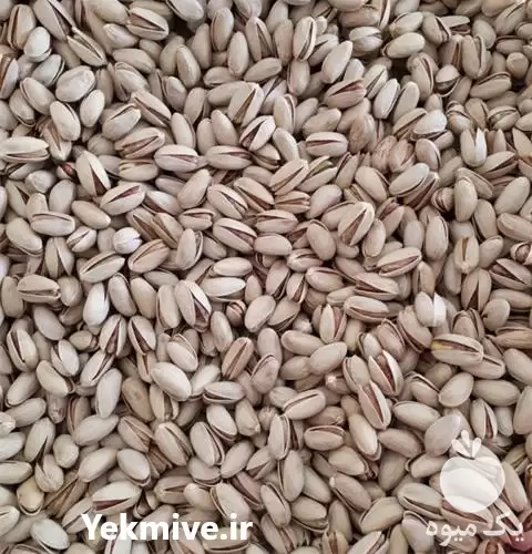 خرید و فروش پسته عمده در مشهد در گروه خرید و فروش پسته در یکمیوه -عکس1