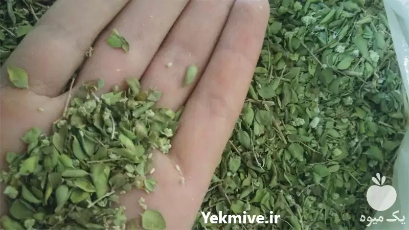 فروش گیاهان دارویی در گروه خرید و فروش گیاهان دارویی در یکمیوه -عکس1