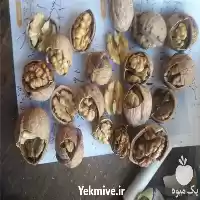 قیمت خرید تناژ گردو سماق کشک در سنندج در گروه خرید و فروش گردو در یکمیوه