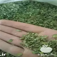 قیمت خرید گیاهان دارویی درجه یک در گروه خرید و فروش گیاهان دارویی در یکمیوه