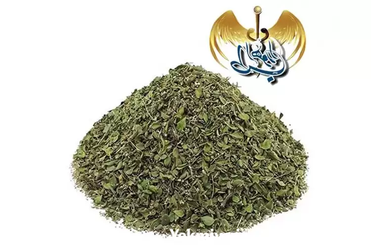 فروش برگ آویشن شیرازی اعلاء 100 در قم در گروه خرید و فروش گیاهان دارویی در یکمیوه -عکس1