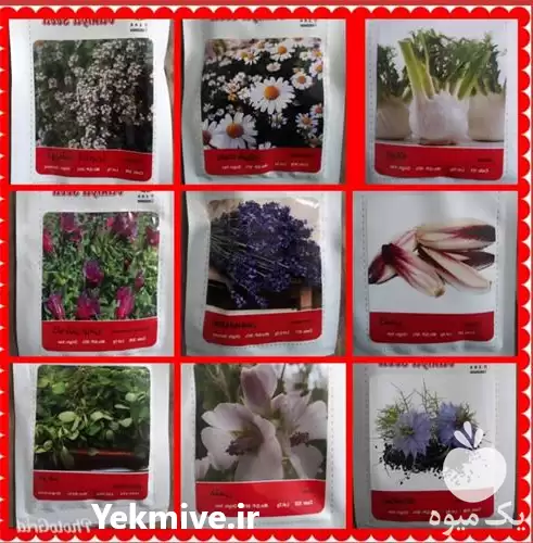قیمت خرید و پخش گیاهان دارویی در ساری در گروه خرید و فروش گیاهان دارویی در یکمیوه -عکس1