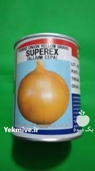 بذر پیاز زرد سوپرکس تاکی بذر در بندرلنگه در گروه خرید و فروش بذر پیاز در یکمیوه -عکس1
