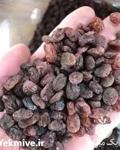 پیشرو ترین کارخانه تولید کشمش مویز در مشهد در گروه خرید و فروش آجیل در یکمیوه -عکس1