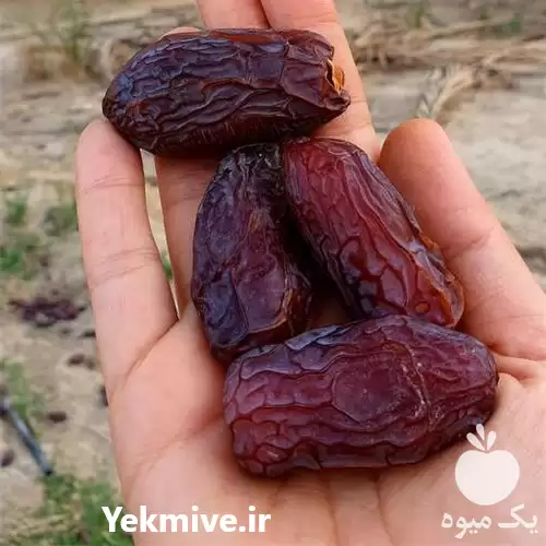 عرضه فروش عمده خرمای پیارم در بوشهر در گروه خرید و فروش خرما در یکمیوه -عکس1