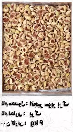 فروش انجیر سوپر پرک در گروه خرید و فروش انجیر در یکمیوه -عکس1