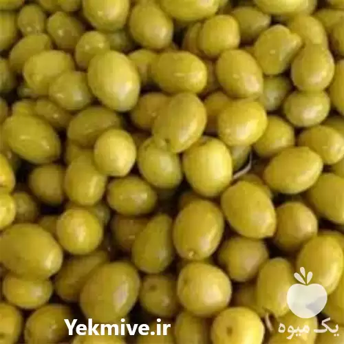 فروش خرید زیتون کنسروی طارم در تبریز در گروه خرید و فروش زیتون در یکمیوه -عکس1