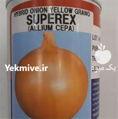 بذر پیاز زرد سوپرکس تاکی در گروه خرید و فروش بذر پیاز در یکمیوه -عکس1