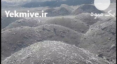 فروش کود مرغی خالص در اهواز در گروه خرید و فروش کود مرغی در یکمیوه -عکس2