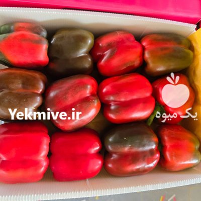 فروش بارگیری فلفل دلمه رنگی اصفهان در گروه خرید و فروش فلفل در یکمیوه -عکس1