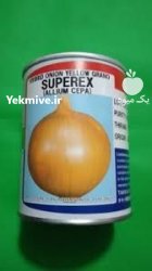 بذر پیاز زرد سوپرکس تاکی بذر در بندرلنگه در گروه خرید و فروش بذر پیاز در یکمیوه