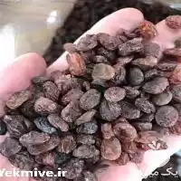 پیشرو ترین کارخانه تولید کشمش مویز در مشهد در گروه خرید و فروش آجیل در یکمیوه