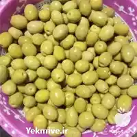 فروش عمده زیتون کنسروی سبز طارم در زنجان در گروه خرید و فروش زیتون در یکمیوه