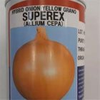 بذر پیاز تاکی بذر پیاز زرد در جیرفت در گروه خرید و فروش بذر پیاز در یکمیوه