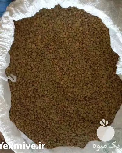 قیمت خرید عدس مرجو مرغوب خوش در رشت در گروه خرید و فروش غلات و حبوبات در یکمیوه -عکس1