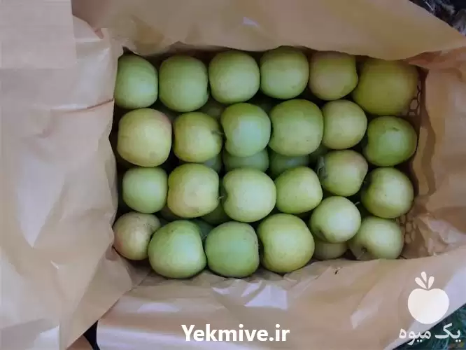 سیب سفید سیب سفید 6 تن در گروه خرید و فروش سیب در یکمیوه -عکس1