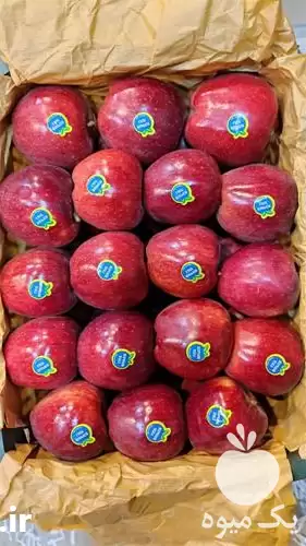سیب درجه یک سیب درجه یک در ارومیه در گروه خرید و فروش سیب در یکمیوه -عکس1