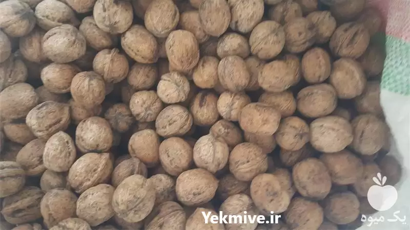 قیمت خرید گردوی درجه یک در گروه خرید و فروش گردو در یکمیوه -عکس1