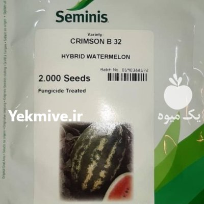 بذر هندوانه با کیفیت بالا بذر در بندرعباس در گروه خرید و فروش بذر هندوانه در یکمیوه -عکس1