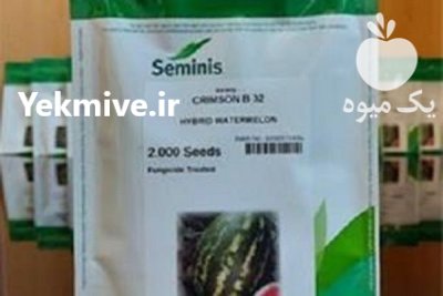 عرضه بذر هندوانه با فروش ویژه در میناب در گروه خرید و فروش بذر هندوانه در یکمیوه -عکس1