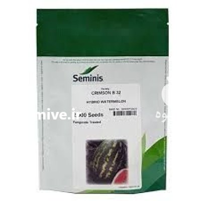 عرضه بذر هندوانه با فروش ویژه در میناب در گروه خرید و فروش بذر هندوانه در یکمیوه -عکس3