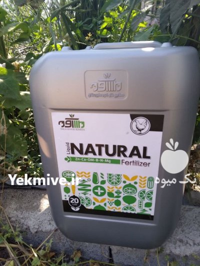 کود مایع ماهی طلاکود در ساری در گروه خرید و فروش کود مایع در یکمیوه -عکس3