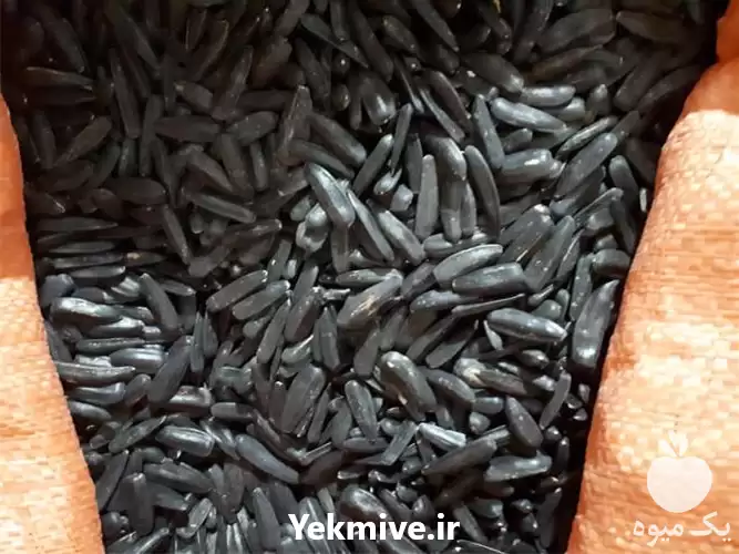 فروش عمده تخمه آفتابگردان خام مشکی در تهران در گروه خرید و فروش انواع تخمه در یکمیوه -عکس1