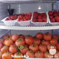 قیمت خرید انواع میوه های استوایی در گروه خرید و فروش میوه استوایی در یکمیوه