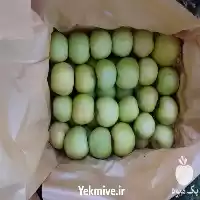 سیب سفید سیب سفید 6 تن در گروه خرید و فروش سیب در یکمیوه