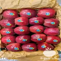 سیب درجه یک سیب درجه یک در ارومیه در گروه خرید و فروش سیب در یکمیوه