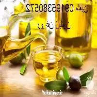قیمت خرید قیمت عمده روغن زیتون در تهران در گروه خرید و فروش زیتون در یکمیوه
