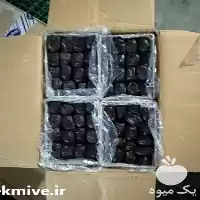 قیمت خرید صادر کننده خرما در تهران در گروه خرید و فروش خرما در یکمیوه