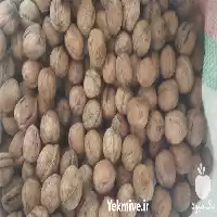 قیمت خرید گردوی درجه یک در گروه خرید و فروش گردو در یکمیوه