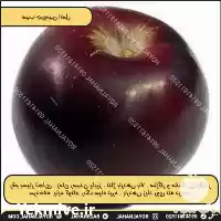 خرید و فروش سیب جرومین اصل در میاندوآب در گروه خرید و فروش سیب در یکمیوه