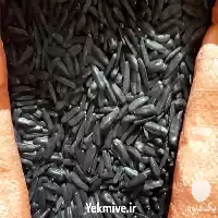 فروش عمده تخمه آفتابگردان خام مشکی در تهران در گروه خرید و فروش انواع تخمه در یکمیوه