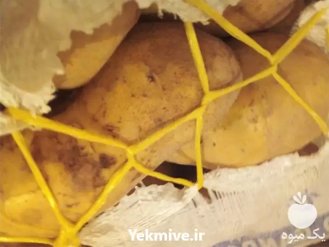 قیمت فروش سیب زمینی در تبریز در گروه خرید و فروش سیب زمینی در یکمیوه -عکس1