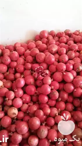 انار قرمز صادراتی درجه یک در مشهد در گروه خرید و فروش انار در یکمیوه -عکس1