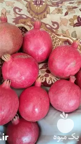 انار قرمز صادراتی و درجه یک در مشهد در گروه خرید و فروش انار در یکمیوه -عکس1