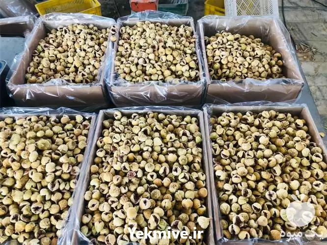 فروش انجیر استهبان در تهران در گروه خرید و فروش انجیر در یکمیوه -عکس1