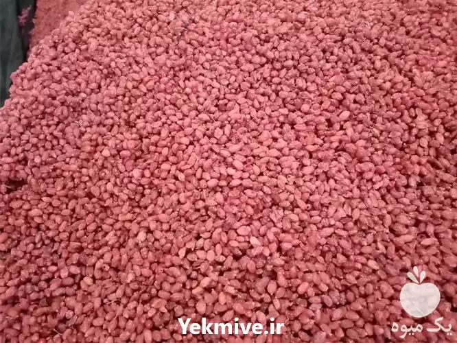 قیمت خرید زرشک پفکی درجه یک در ارومیه در گروه خرید و فروش زرشک در یکمیوه -عکس1