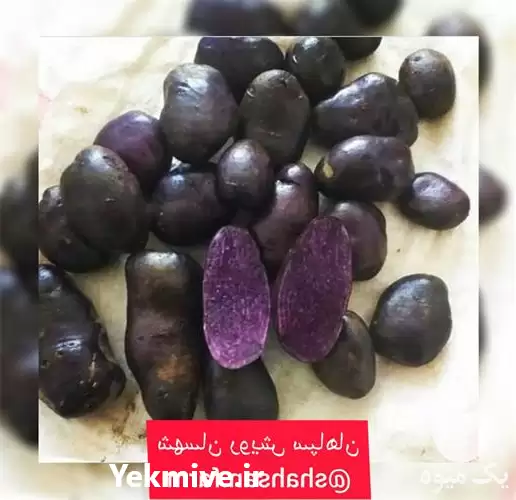 قیمت خرید سیب زمینی بنفش ارگانیک در اصفهان در گروه خرید و فروش سیب زمینی در یکمیوه -عکس1