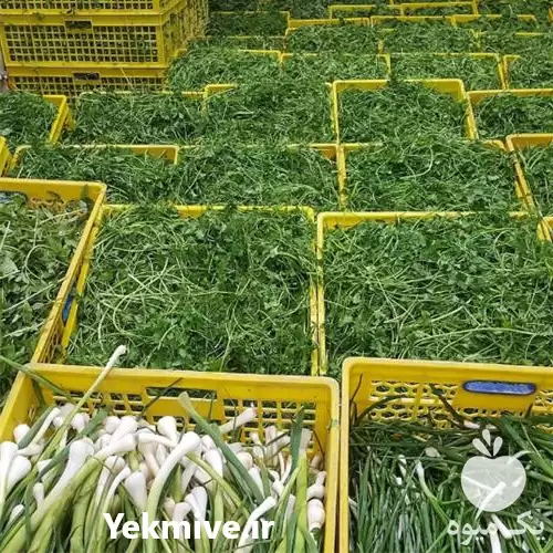 فروش انواع سبزیجات تازه در گروه خرید و فروش انواع سبزی ها در یکمیوه -عکس1