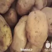 قیمت خرید سیب زمینی در گروه خرید و فروش سیب زمینی در یکمیوه