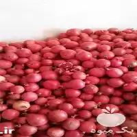 انار قرمز صادراتی درجه یک در مشهد در گروه خرید و فروش انار در یکمیوه