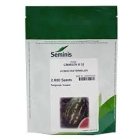 فروش بذر هندوانه b 32 _ صادراتی در کرمان  در گروه خرید و فروش بذر هندوانه در یکمیوه